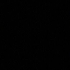 Meet your Posher, Vicky